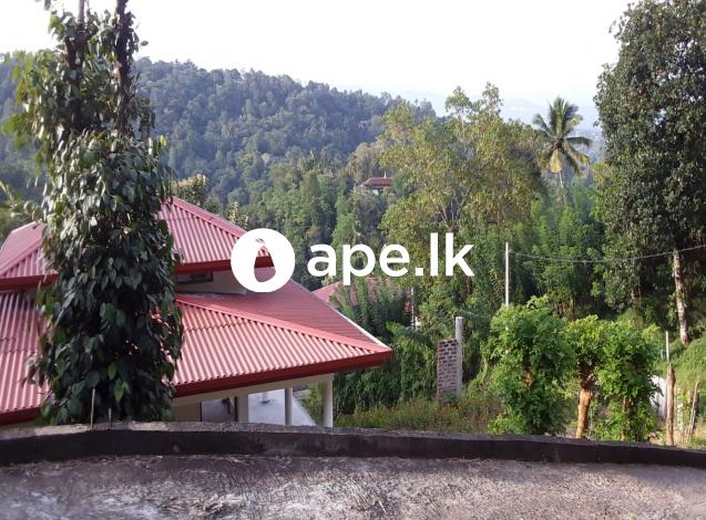 Land for sale ampitiya